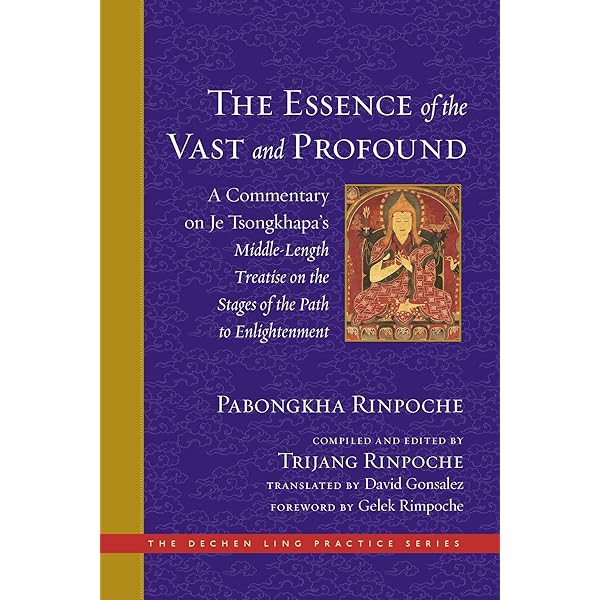 洋書 Literary Interest UI Press | Xiao-huang Yin | Chinese American Literature